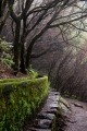 424_Madera_Levada das 25 Fontes